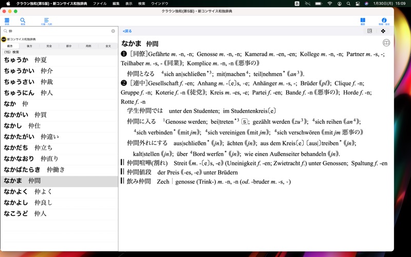 クラウン独和(第5版)・新コンサイス和独辞典 screenshot1
