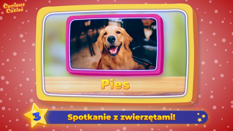 Polish Alphabet with Bunny ABC screenshot-3