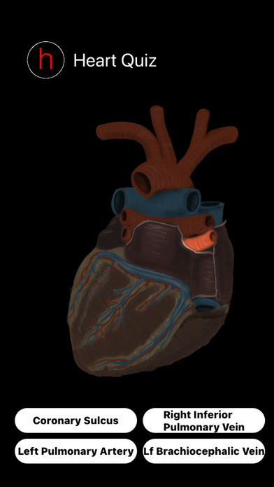 Human Heart Anatomy Quiz Screenshot