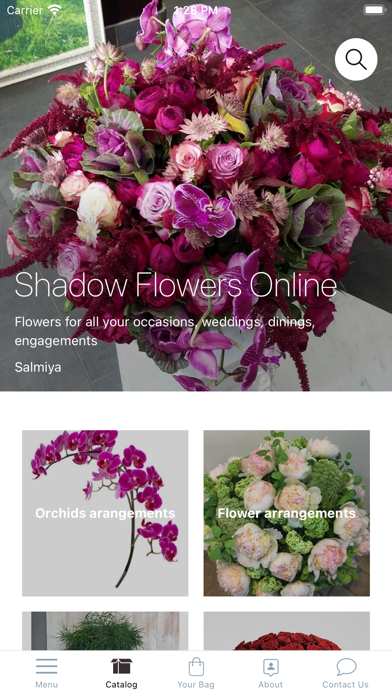 Shadow Flowers Online Screenshot