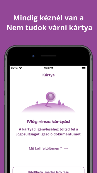 Nem Tudok Várni Screenshot