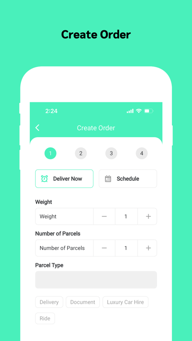 Lady On The Run PC 용