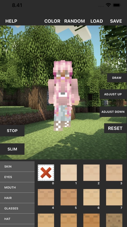 Screenshot of in-game skin editor
