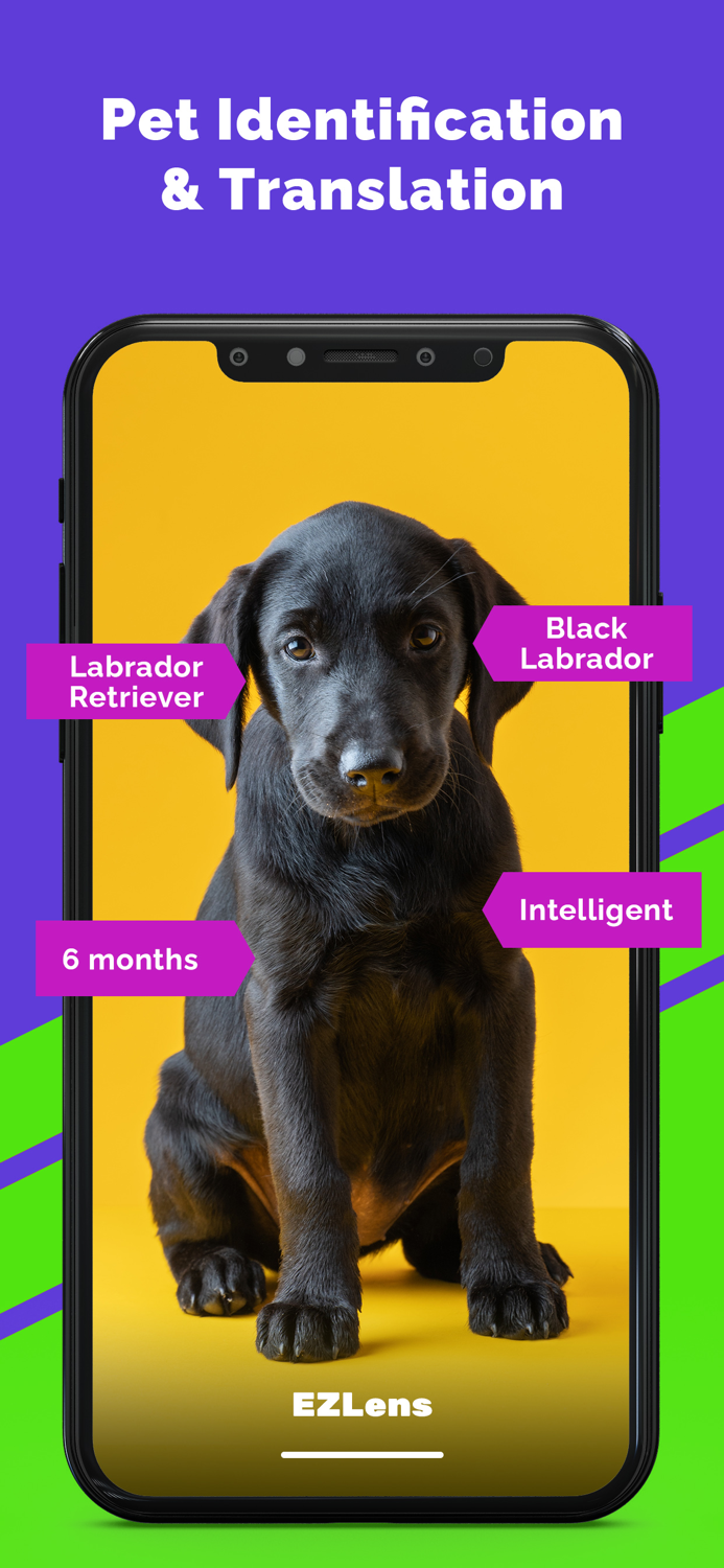 EZ Lens - Translate and Cartoon