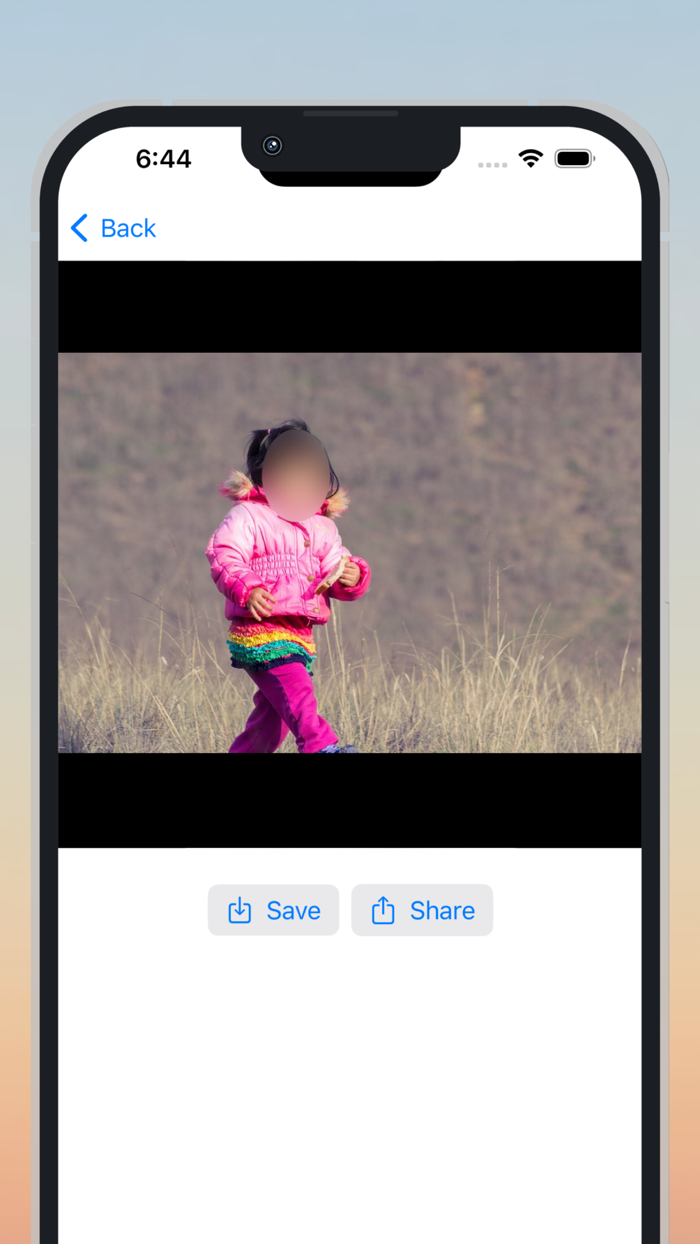 FaceHaze Blur Faces in Videos