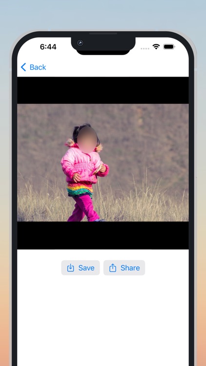 FaceHaze: Blur Faces in Videos