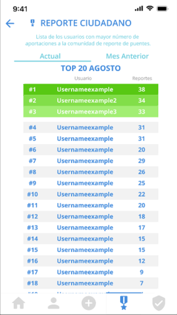 Al Puente  Reporte De Puentes
