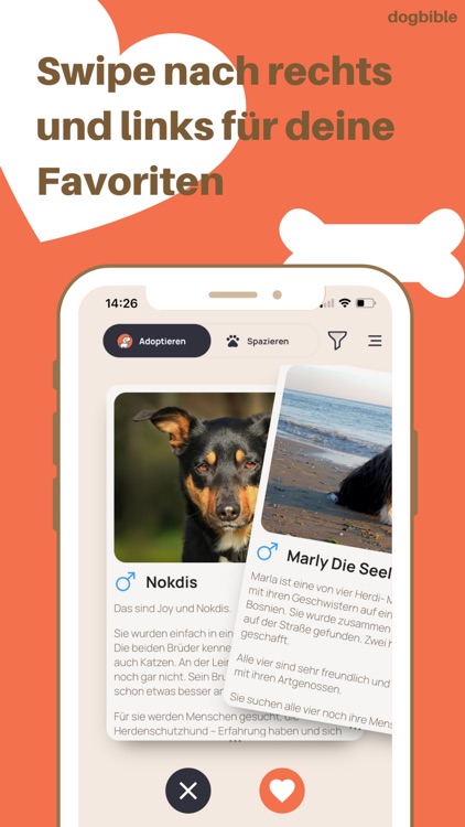 Dogbible Adopt