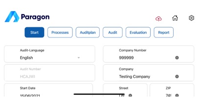 Paragon Audit Screenshot