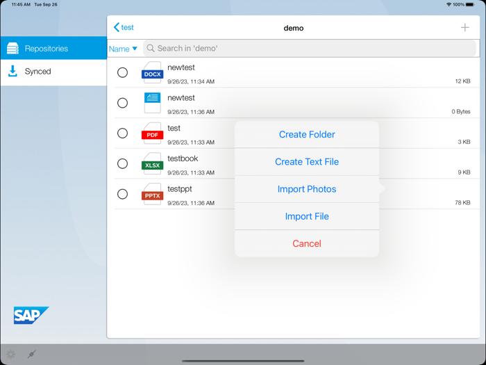 SAP Document Mgmt Svc Client