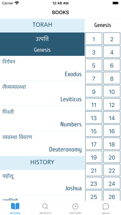 Mobile Hindi Bible Screenshot