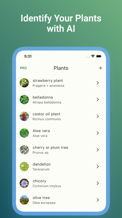 ChatPlant: AI Plant Identifier Screenshot