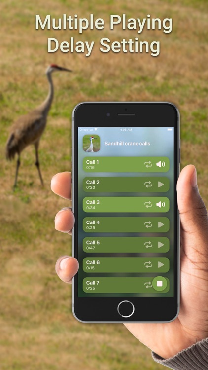 Hunting Calls: Crane