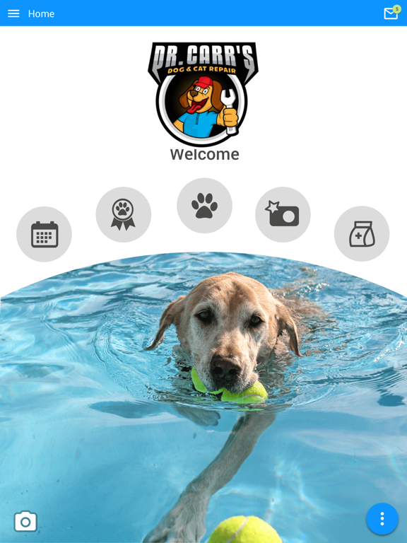Screenshot #4 pour Dr Carrs Dog & Cat Repair