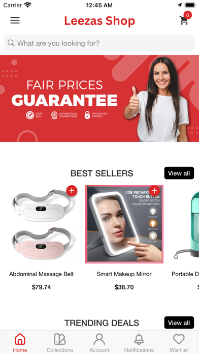 Leezas Shop Screenshot