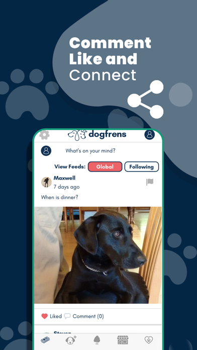 DogFrens Screenshot