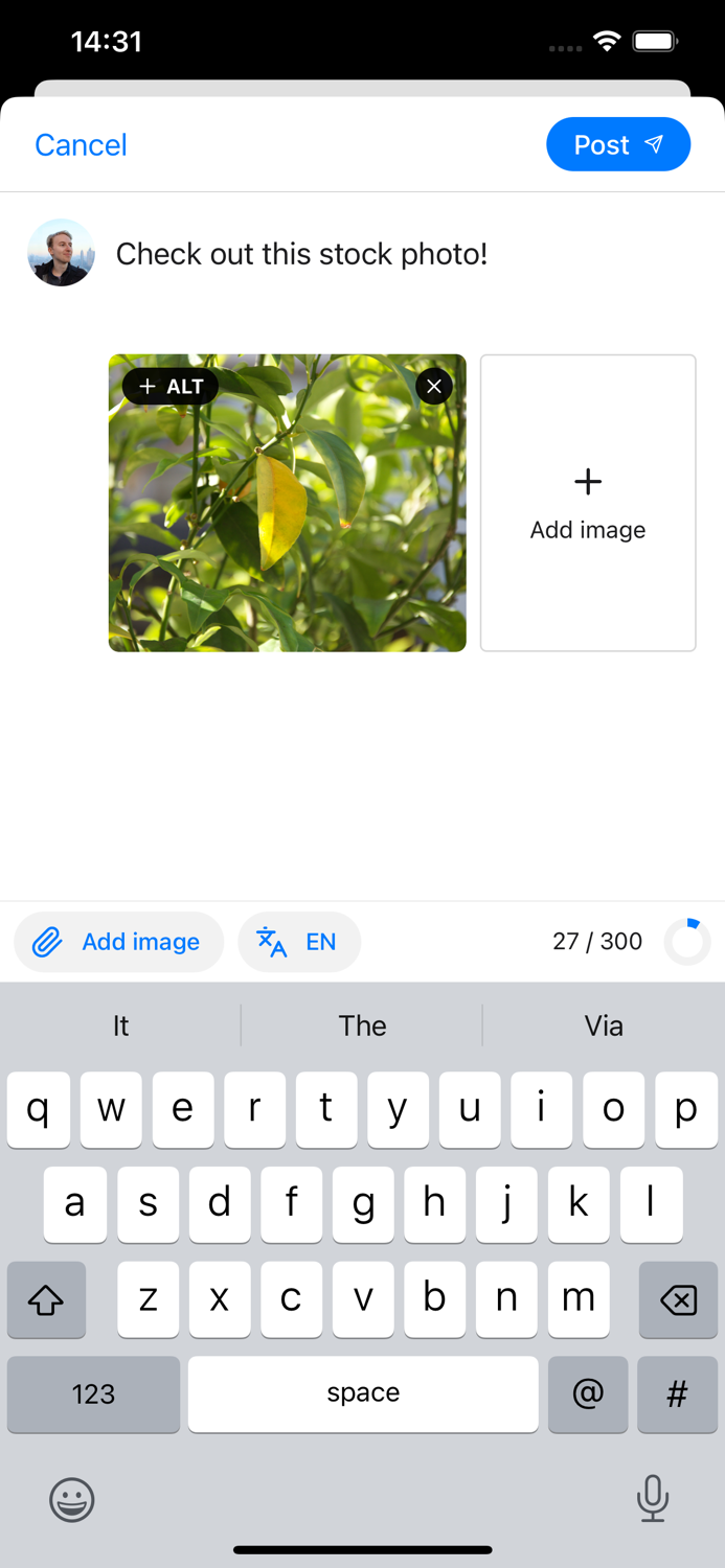 Graysky, a Bluesky client