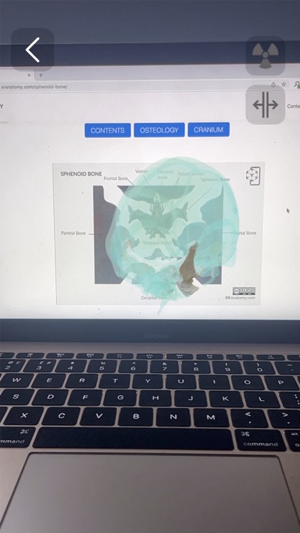 XR Anatomy screenshot-3