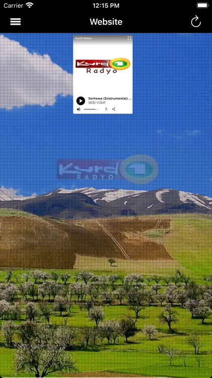 Kurd1 Radyo screenshot-7
