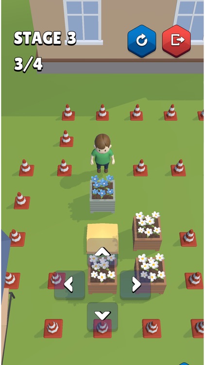 Push Push Box screenshot-4