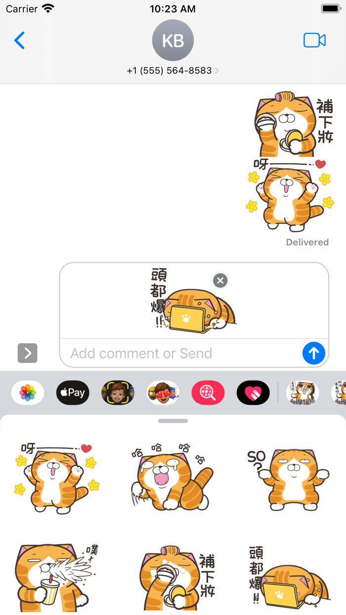 白爛貓19-動激動HK