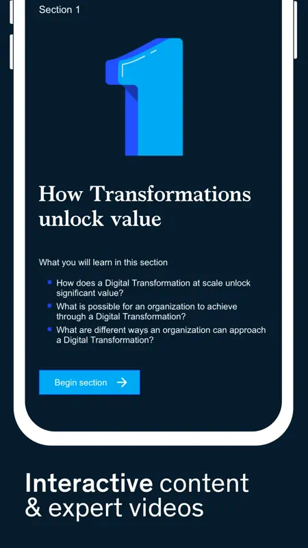 McKinsey Accelerate screenshot 2 of 4