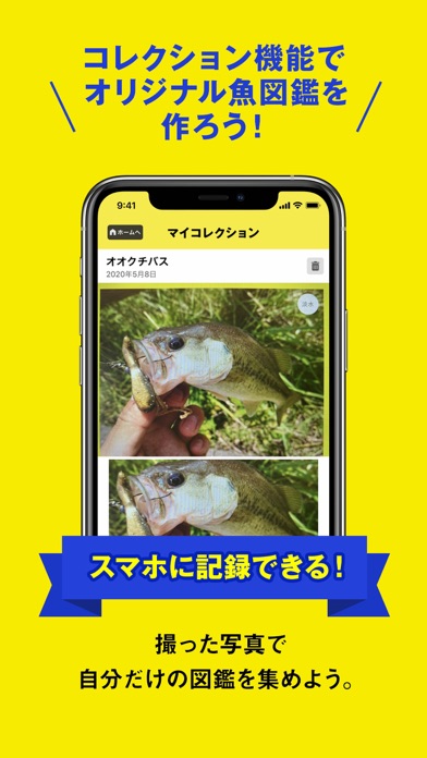 マイAI-AIが魚を判定する新しい魚図鑑スクリーンショット