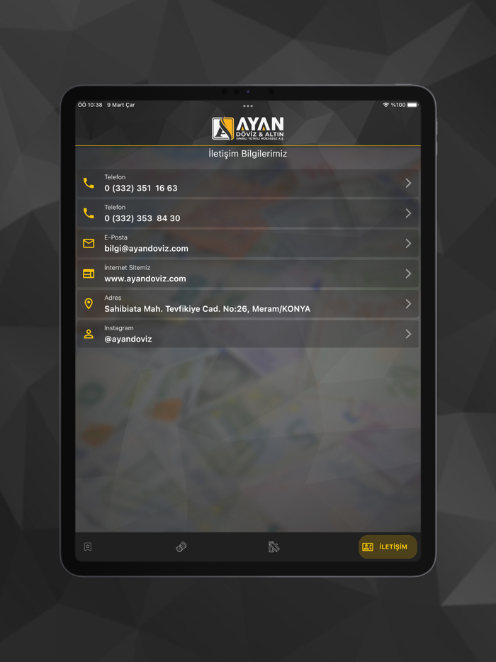 Ayan Döviz and Altın