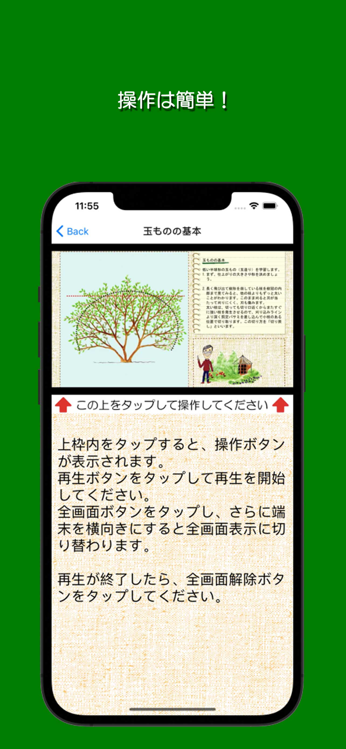 樹形式剪定教室 基本編 初級