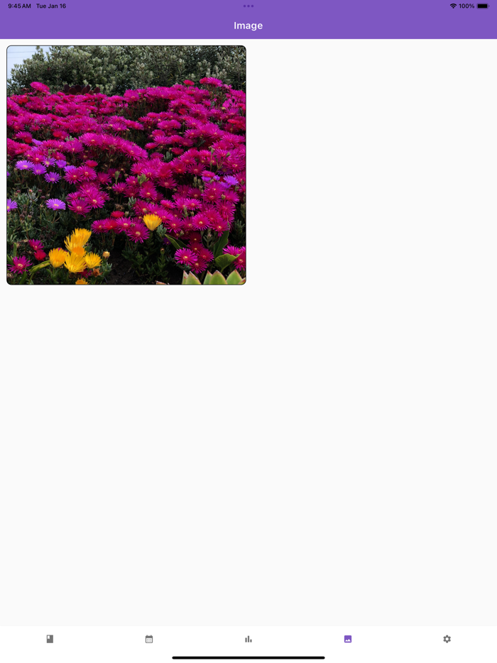 My Diary - Diary With Lock