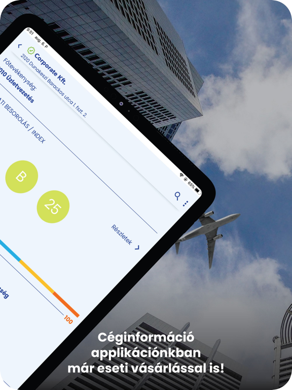 Screenshot #5 pour Opten Cégtár céginformáció