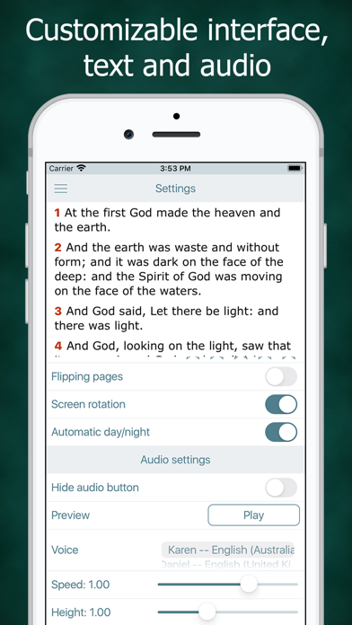 Simple Bible in Basic English Screenshot