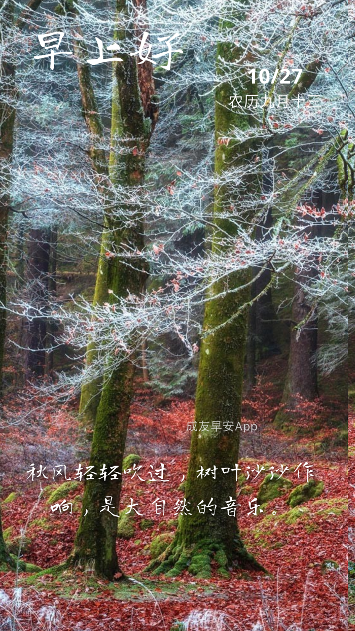 ChengYou Good Morning