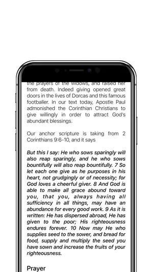 Echoes Of Grace screenshot 4