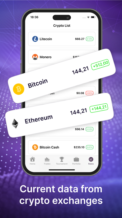 Crypto Capital Screenshot