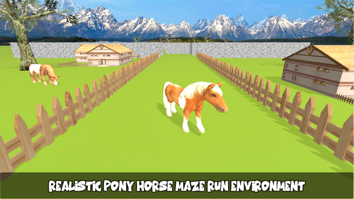 Pony Horse Maze Run