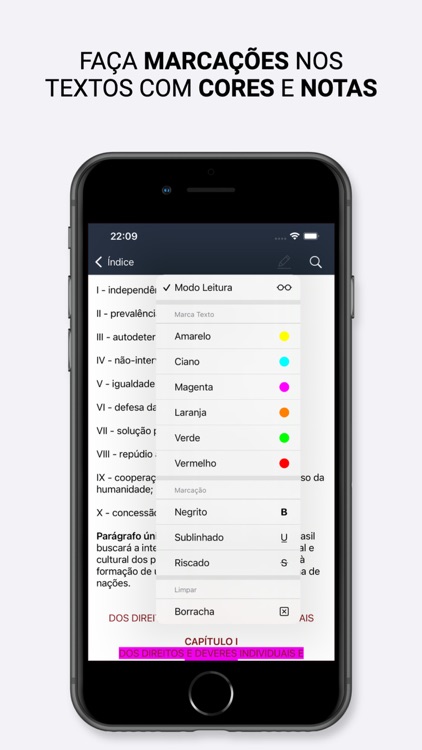 Vade Mecum 2025 Direito Brasil