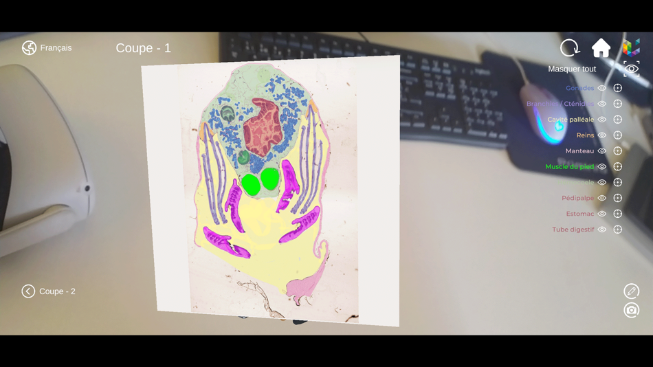 #4. Morflab : Mussel & Ascaris (iOS) 来自: Université de Liège