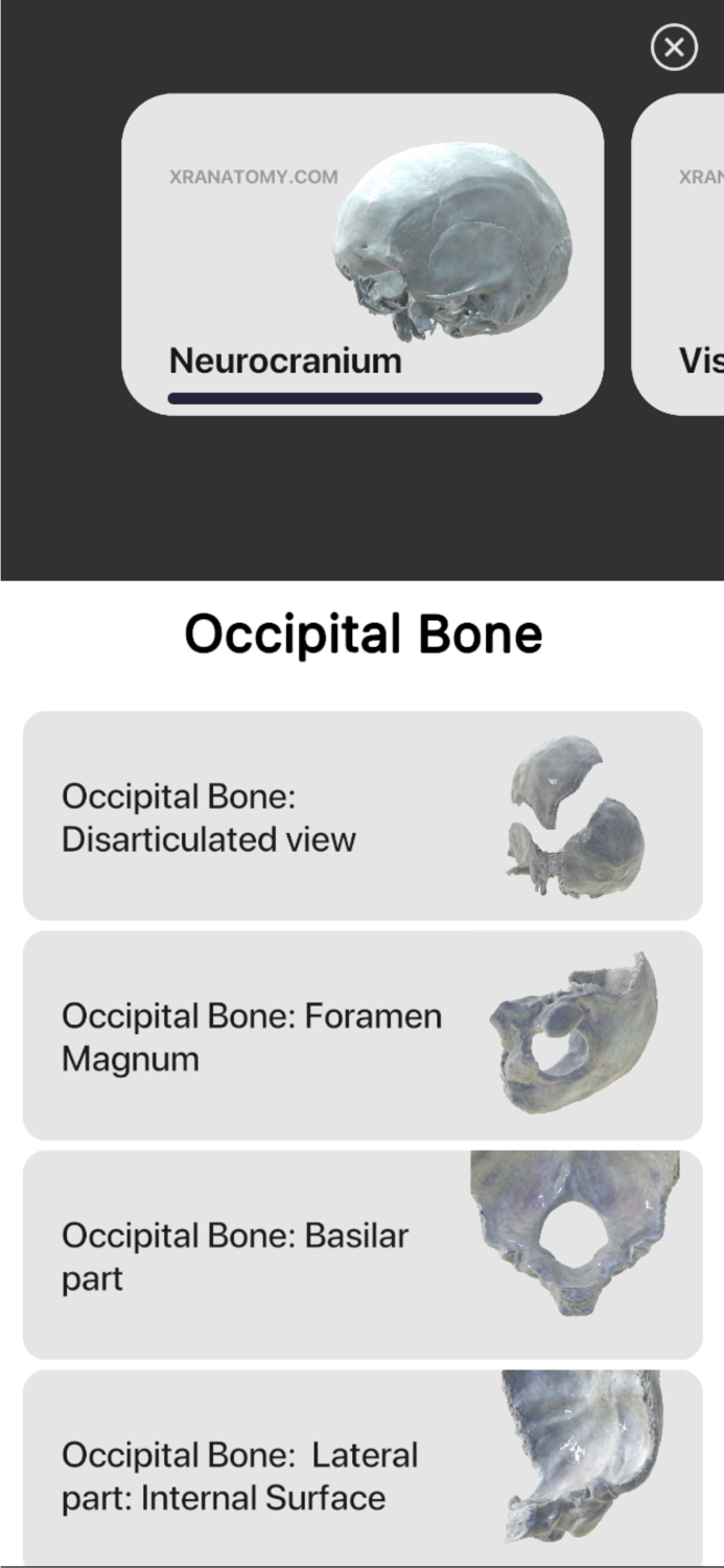 3D Osteology