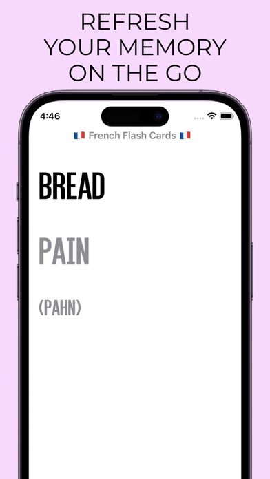 French Flash Cards Screenshot