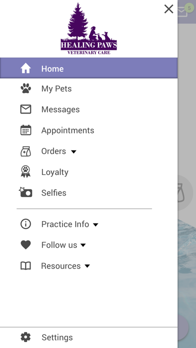 Healing Paws Veterinary Care Screenshot