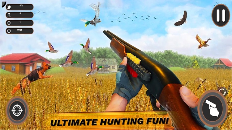 Sniper Birds Hunting 3D