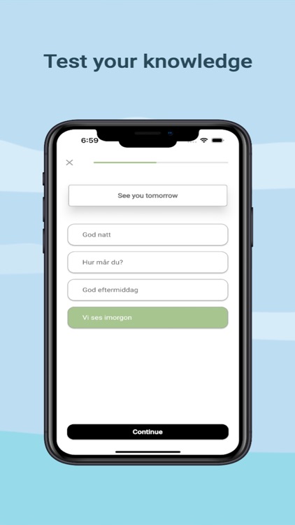 Learn Swedish Online