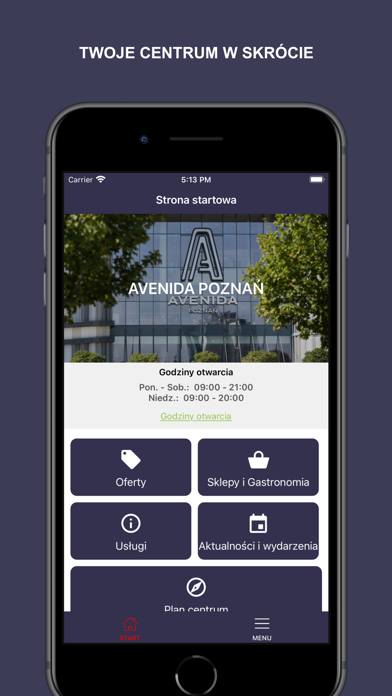 Avenida Poznań Screenshot