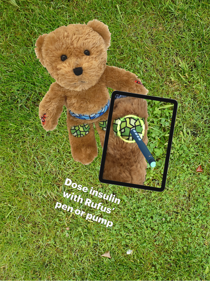 Rufus the Bear with Diabetes