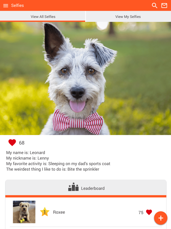 Murfreesboro Animal Clinic