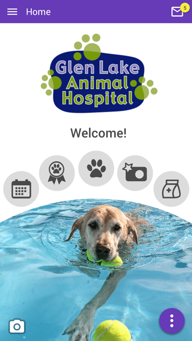 Glen Lake Animal Hospital Screenshot