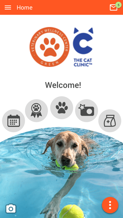 Vet Wellness Center of Green Screenshot