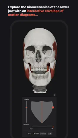 Game screenshot Skull, Teeth & TMJ mod apk