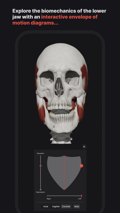 Skull, Teeth & TMJ Screenshot